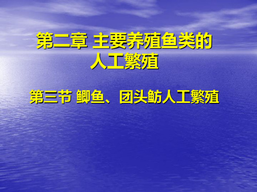 12二、鲫的人工繁殖 三、团头鲂的人工繁殖