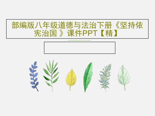 部编版八年级道德与法治下册《坚持依宪治国 》课件PPT【精】共26页