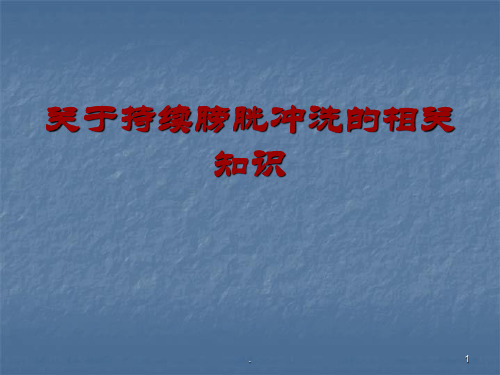 持续膀胱冲洗精选PPT