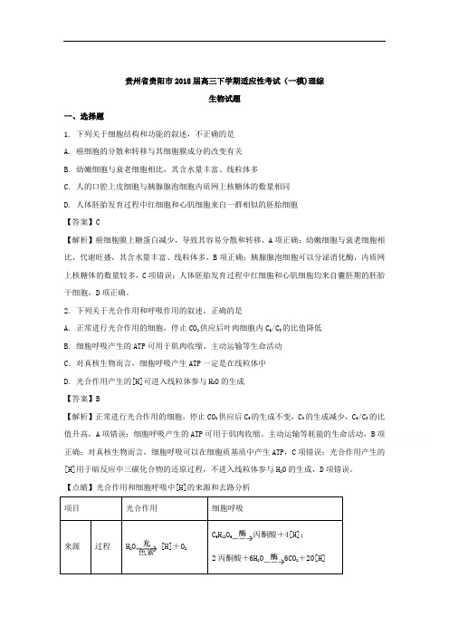 贵州省贵阳市2018届高三下学期适应性考试一模)理科综合生物试题 含解析 精品