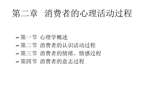 第二章 消费者的心理活动过程 消费心理学PPT课件