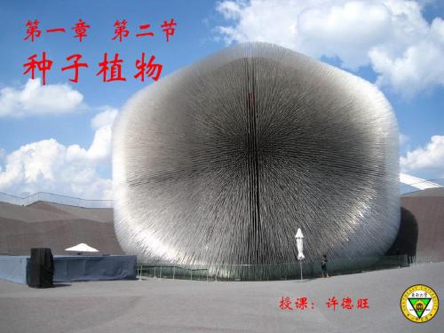 种子植物(新课标)