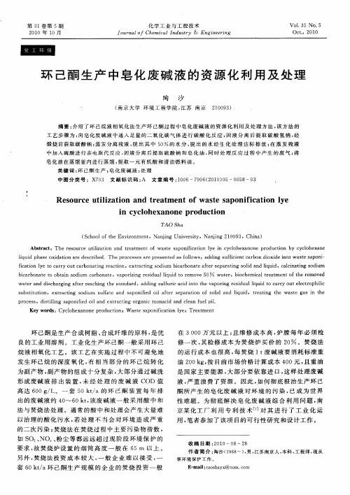 环己酮生产中皂化废碱液的资源化利用及处理
