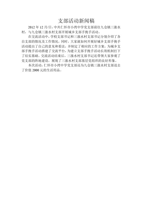 支部活动新闻稿