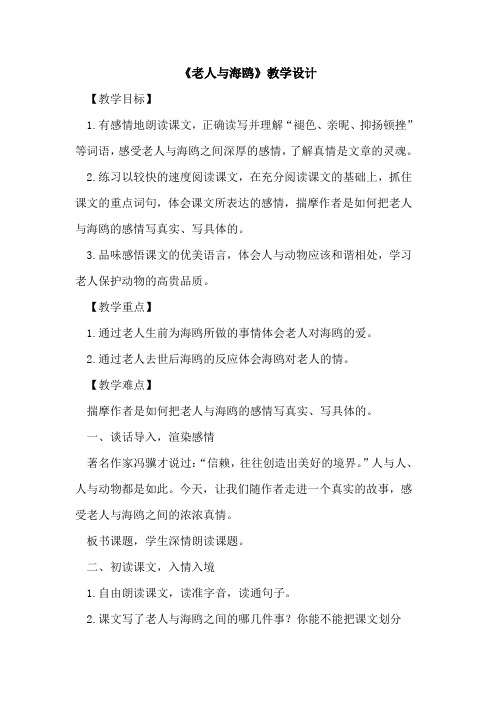 《老人与海鸥》教学设计