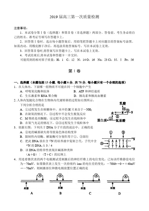 2019年广州市普通高中毕业班综合测试(二)理科综合(生物部分