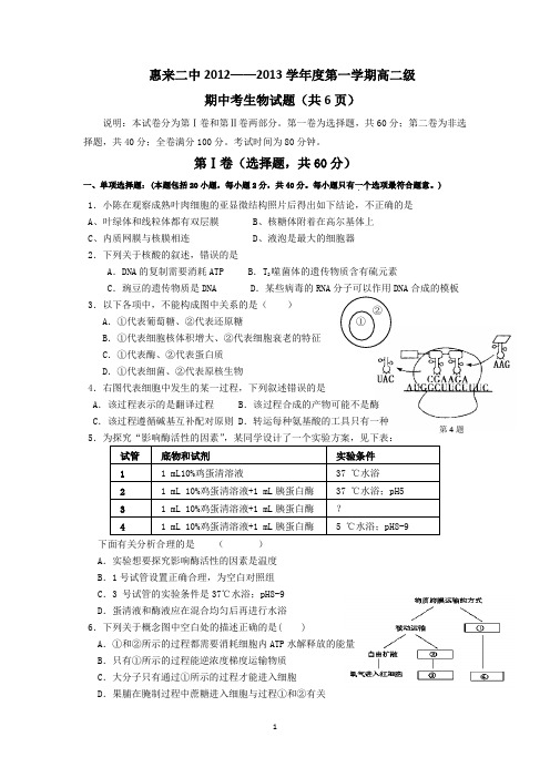 广东省惠来二中2012-2013学年高二上学期期中考试生物试题