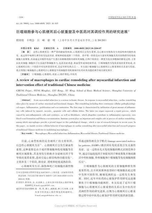 巨噬细胞参与心肌梗死后心脏重塑及中医药对其调控作用的研究进展