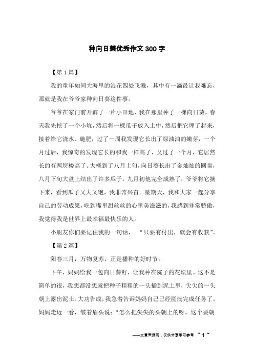 种向日葵优秀作文300字