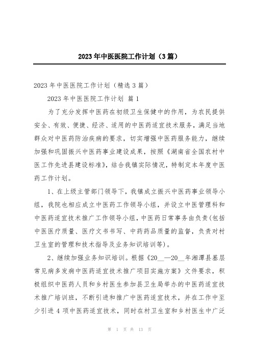 2023年中医医院工作计划(3篇)