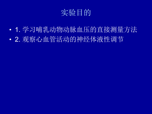 @兔动脉血压的测定PPT幻灯片