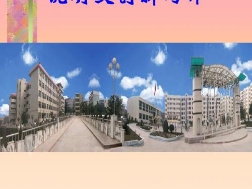 初中作文指导：说明文创新写作优秀课件