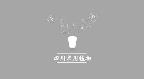 四川常用植物