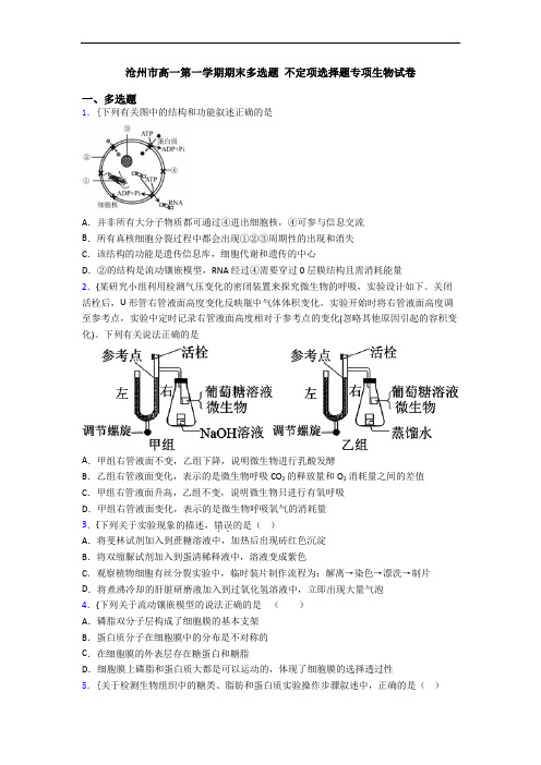 沧州市高一第一学期期末多选题 不定项选择题专项生物试卷