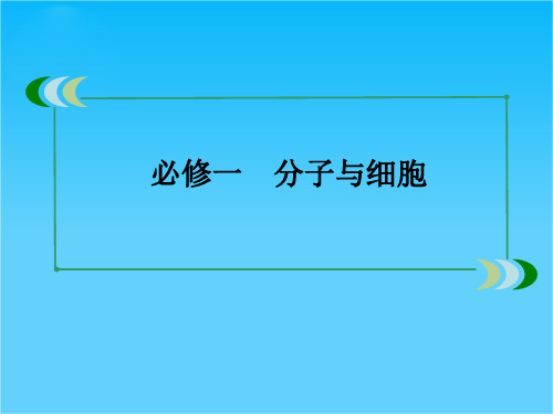 高考生物二轮精选复习课件1.2.2 细胞质与生物膜系统1 (人教版必修1)