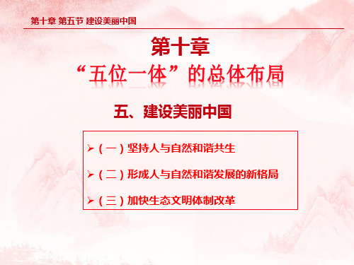 2018版概论第十章第五节 建设美丽中国PPT课件