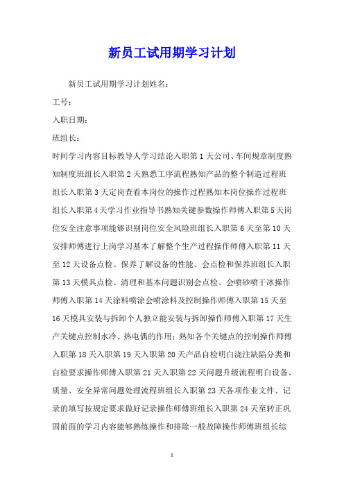 新员工试用期学习计划