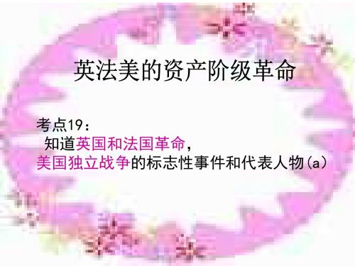 历史：《英法美资产阶级革命》复习课件(人教新课标九年级上)