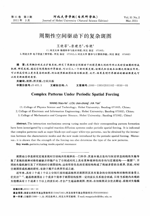 周期性空间驱动下的复杂斑图