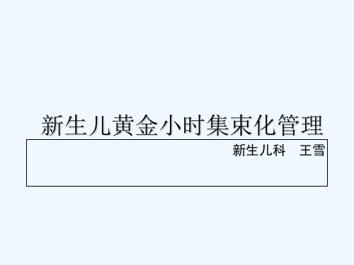 集束化管理 PPT