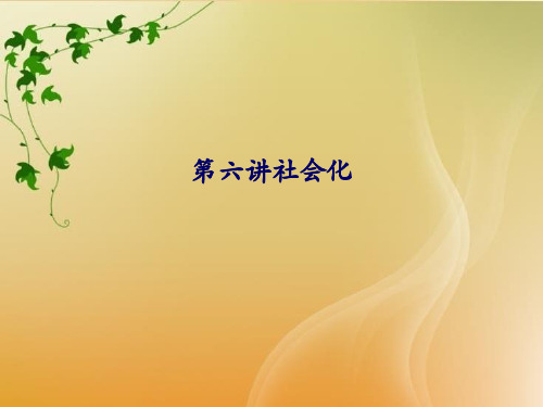 第六讲社会化