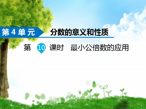 人教版数学五年级下册第10课时  最小公倍数的应用