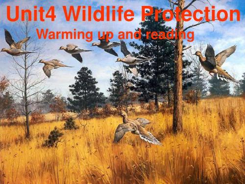 Unit-4-wildlife-protection--reading课件