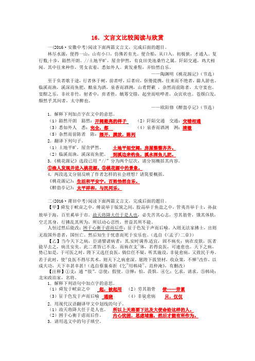中考语文 16 文言文比较阅读与欣赏(含解析)