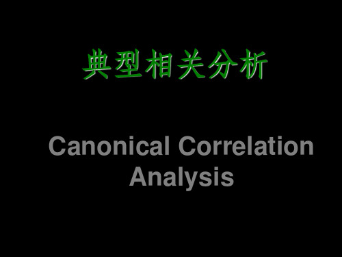 典型相关分析的实例ppt课件