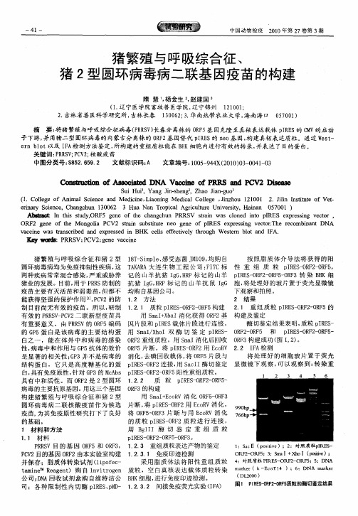 猪繁殖与呼吸综合征、猪2型圆环病毒病二联基因疫苗的构建
