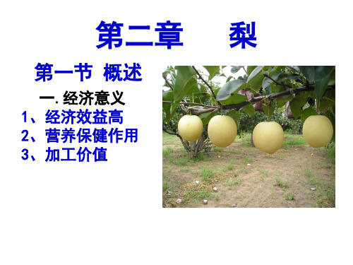 梨栽培管理