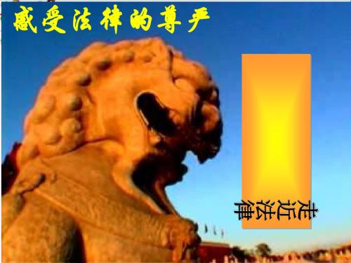 维护权利,履行义务ppt优秀课件 湘教版