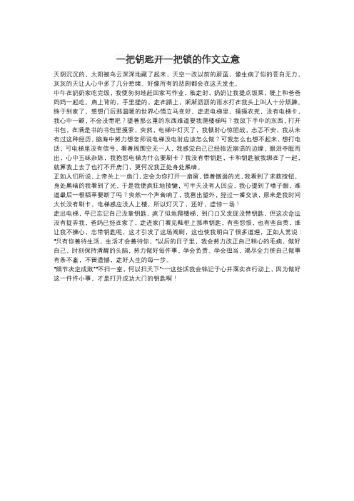 一把钥匙开一把锁的作文立意