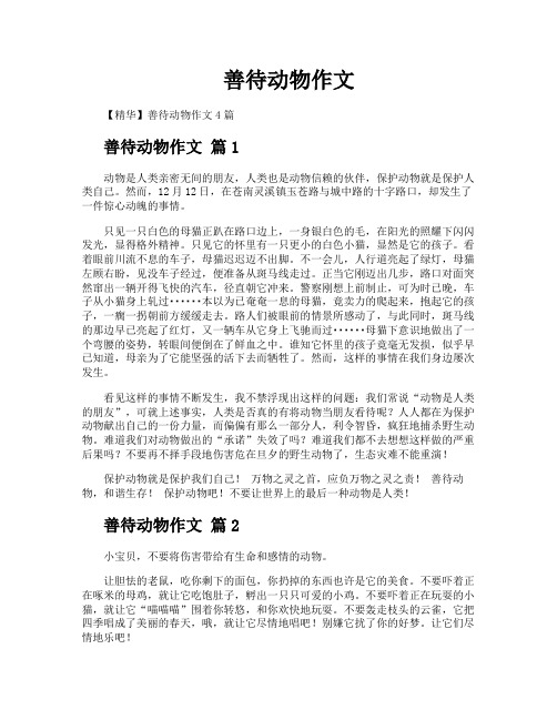 善待动物作文