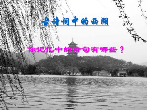 八年级语文课件：28湖心亭看雪