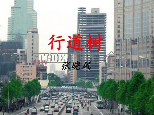 行道树PPT课件113 人教版 (共16张PPT)