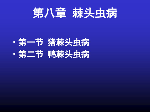 寄生虫 5 棘头虫病  旧
