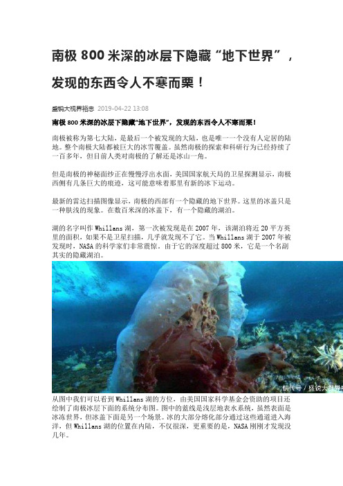 南极800米深的冰层下隐藏“地下世界”,发现的东西令人不寒而栗!