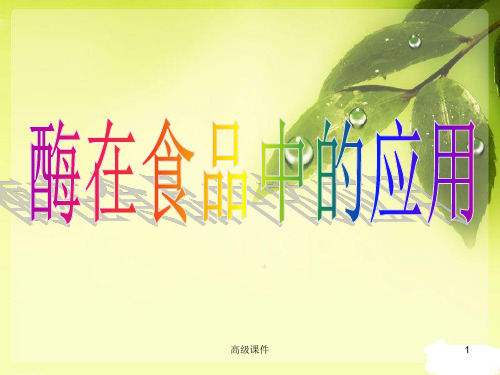 酶在食品中的应用(高等课件)