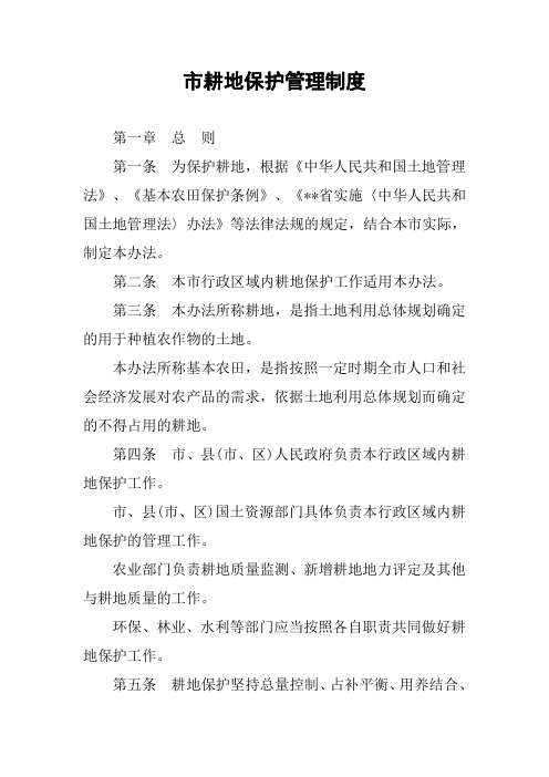 市耕地保护管理制度