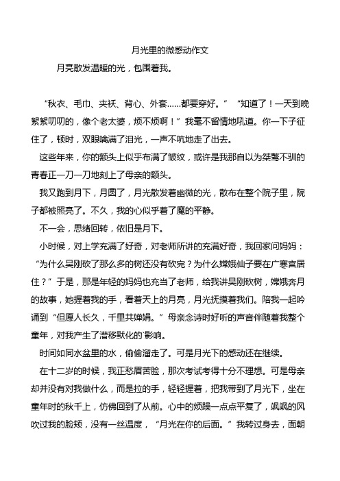 月光里的微感动作文.doc