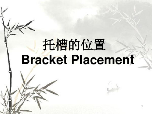 托槽的位置ppt课件
