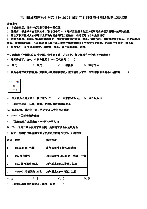 四川省成都市七中学育才校2025届初三5月适应性测试化学试题试卷含解析