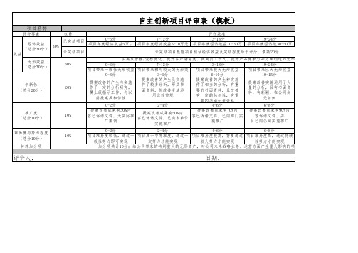 自主创新项目评审表(模板)