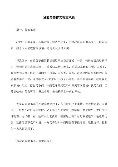 我的弟弟作文范文八篇