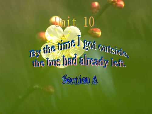人教版(新目标)初中九年级Unit_10_By_the_time_I_got_outside_the_bus_had_already_left_ppt课件5