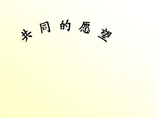 8 共同的愿望(第2课时)课件 (教科版八年级政治下册)