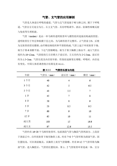 气管与支气管的解剖