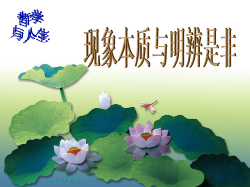 现象本质与明辨是非哲学与人生中职