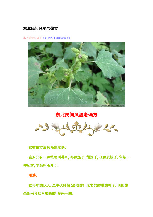 东北民间风湿老偏方